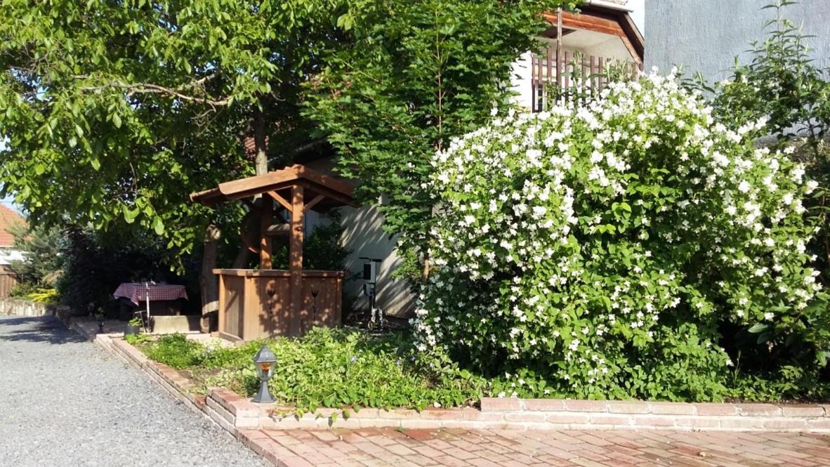 Cziróka Vendégház Tolcsva Kültér fotó